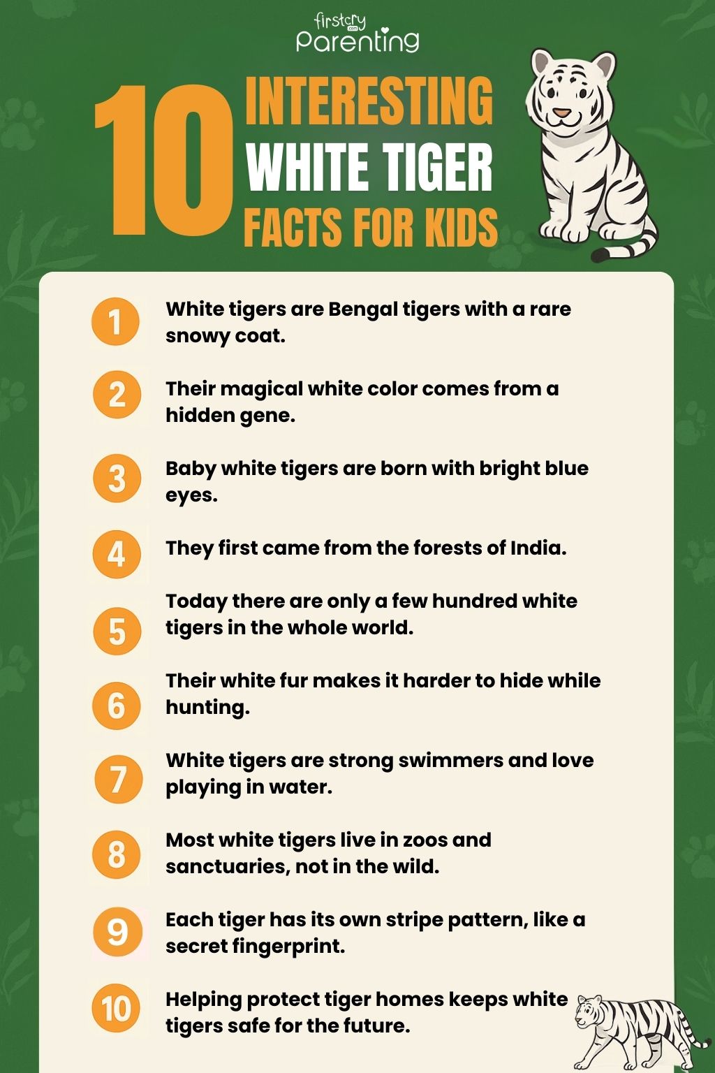 Interesting White Tiger Facts for kids - Infographic