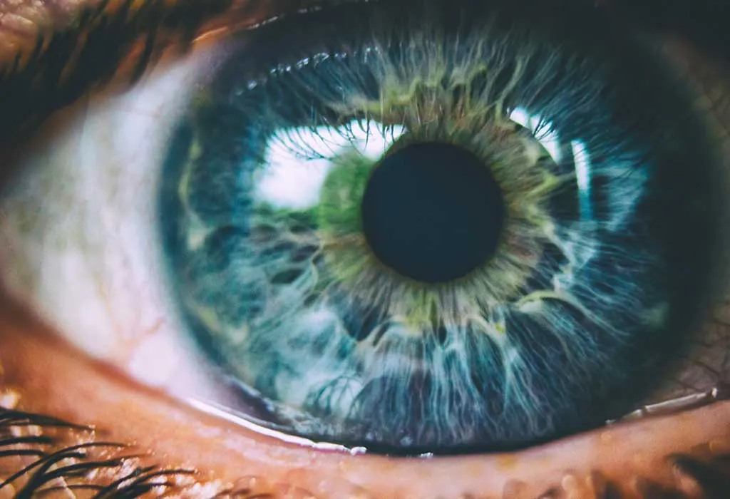 What Are Parts of the Human Eye?