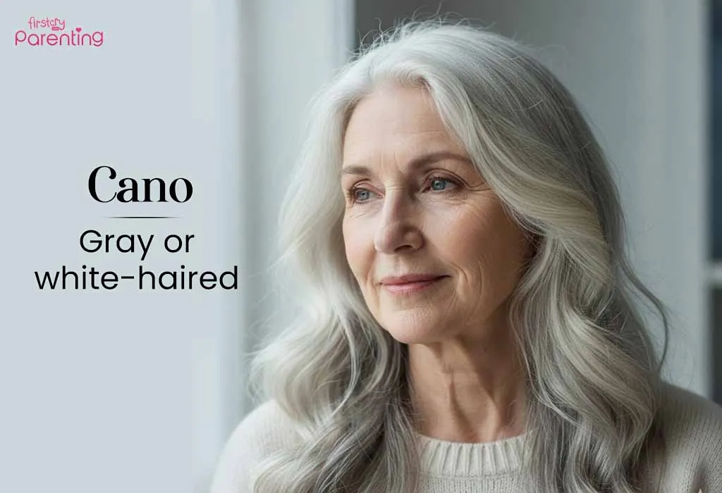 Cano - Colombian Last Names or Surnames with Meanings