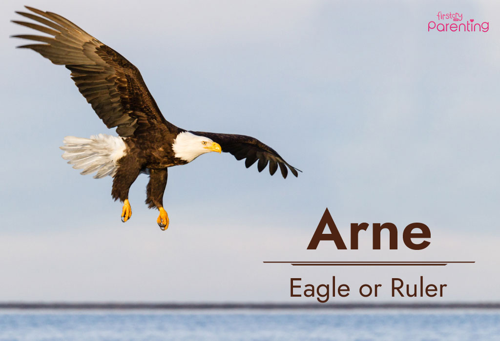 Arne - Powerful & Strong Last Names or Surnames