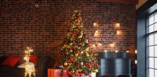 क्रिसमस पर निबंध (Essay On Christmas In Hindi) कक्षा 1, 2 और 3 के लिए क्रिसमस पर निबंध