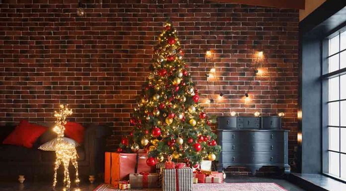 क्रिसमस पर निबंध (Essay On Christmas In Hindi) कक्षा 1, 2 और 3 के लिए क्रिसमस पर निबंध