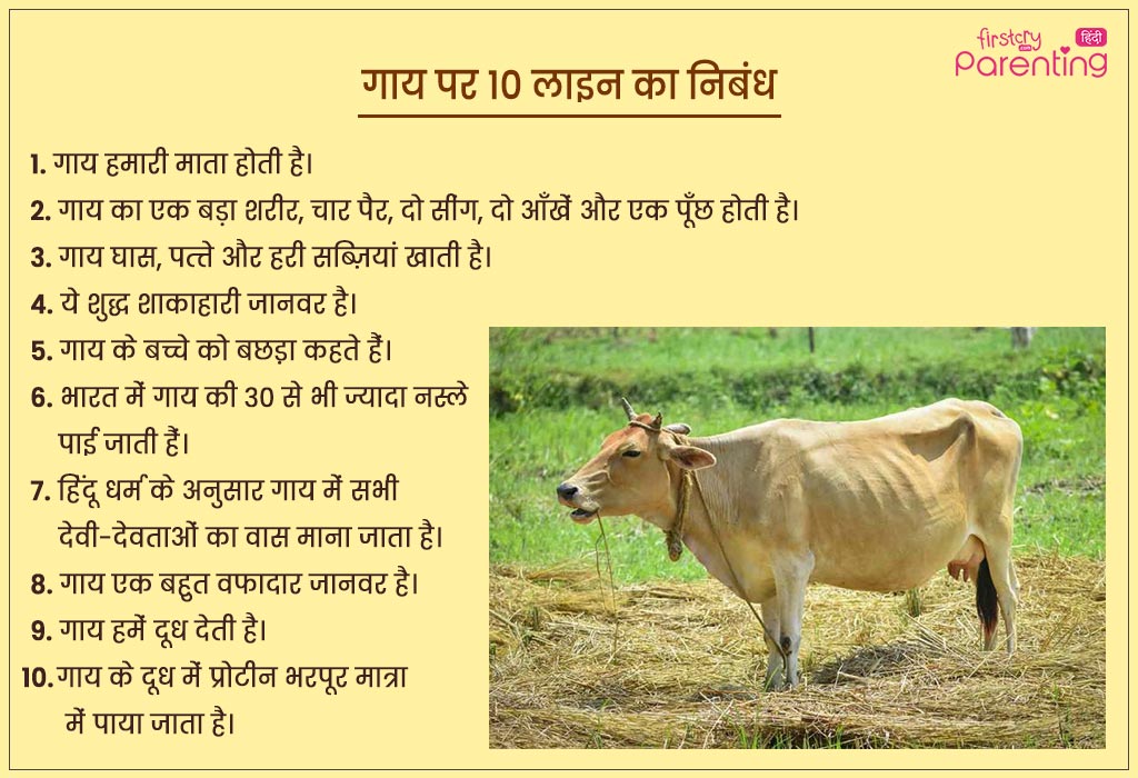the cow essay 20 lines in hindi