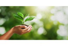 पर्यावरण पर निबंध (Essay On Environment In Hindi) पर्यावरण पर निबंध (Essay On Environment In Hindi)