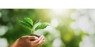 पर्यावरण पर निबंध (Essay On Environment In Hindi) पर्यावरण पर निबंध (Essay On Environment In Hindi)