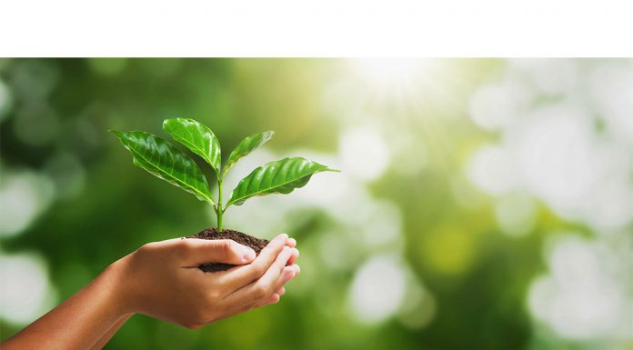 पर्यावरण पर निबंध (Essay On Environment In Hindi) पर्यावरण पर निबंध (Essay On Environment In Hindi)