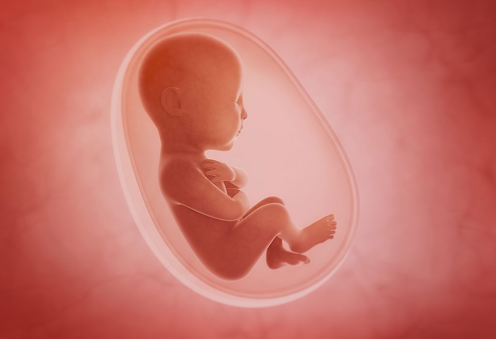 गर्भाशयात बाळ
