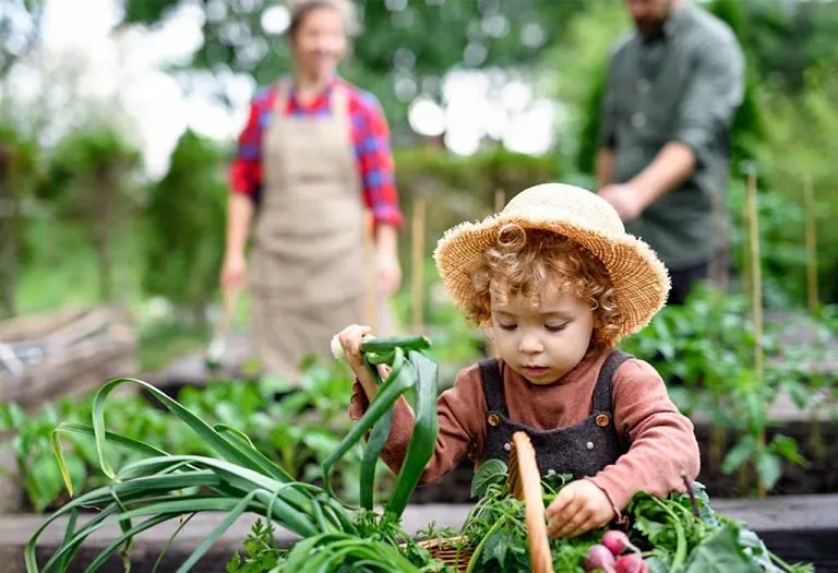 10 Best Farm Activities For Preschoolers and Toddlers
