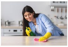 स्वच्छता पर निबंध (Essay On Cleanliness In Hindi)