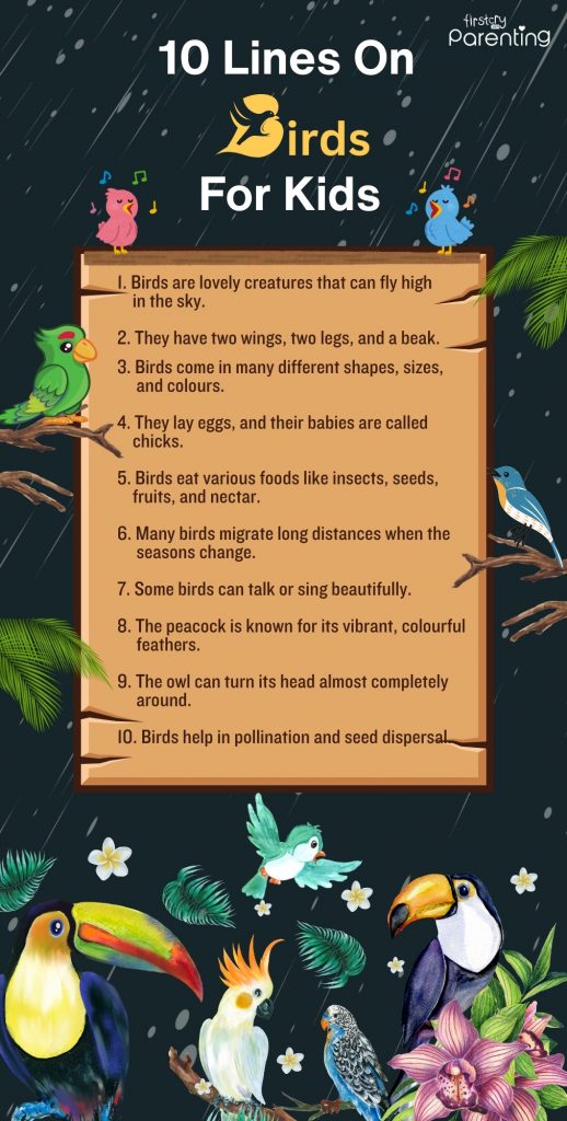 Infographic - 10 Lines on Birds for Kids