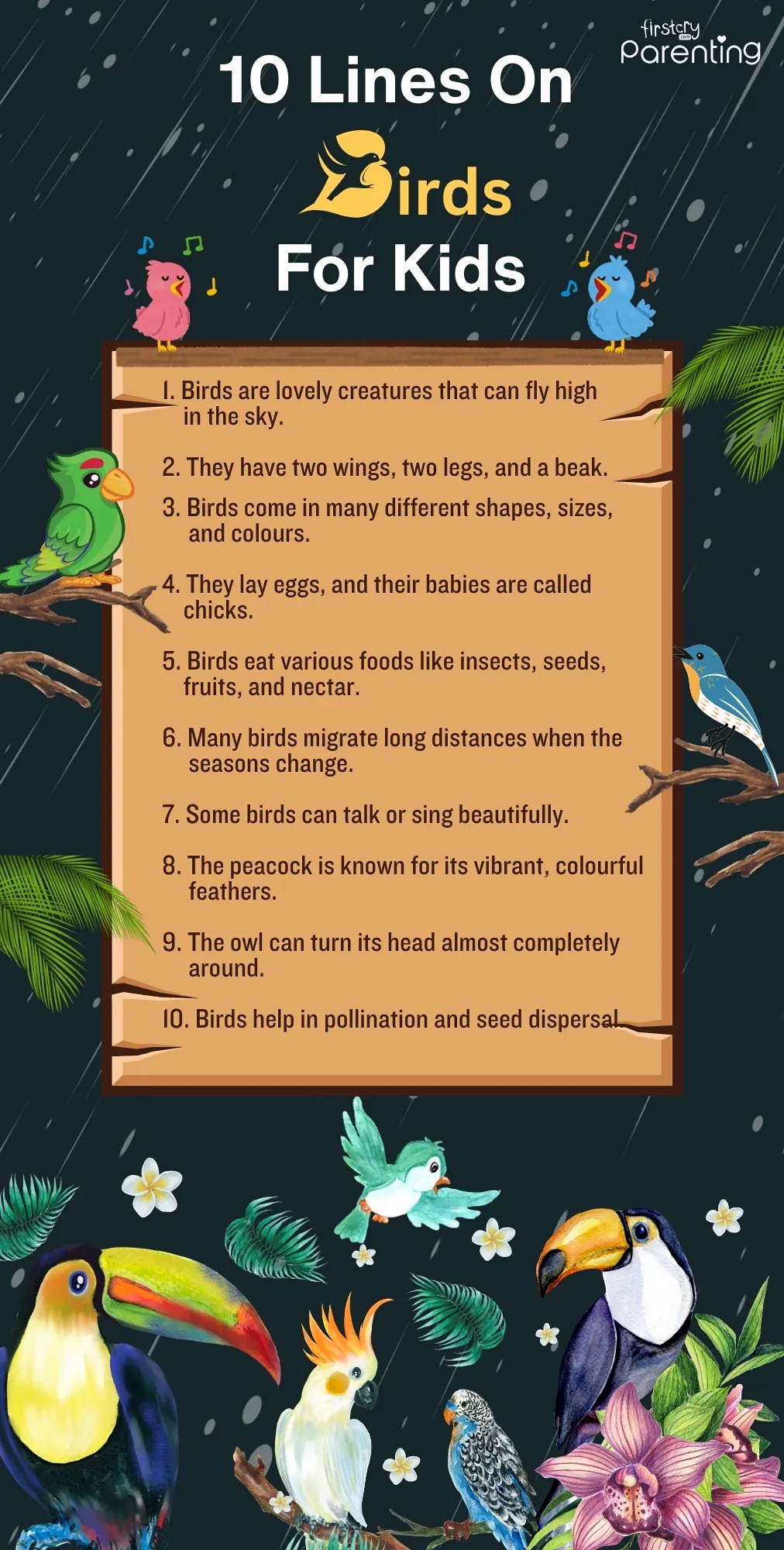 10 Lines on Birds for Kids - Infographic