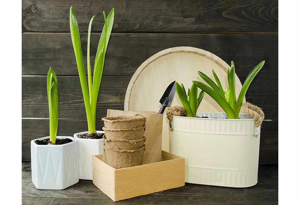 Tree Planting Kit