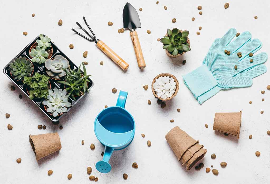 An Indoor Gardening Kit'