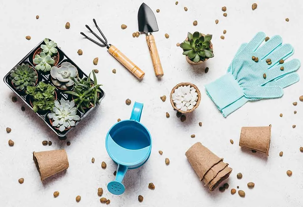 An Indoor Gardening Kit'
