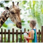 Teach Your Kids About Zoo Animals With Pictures