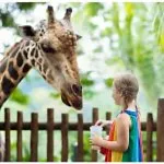 Teach Your Kids About Zoo Animals With Pictures Teach Your Kids About Zoo Animals With Pictures