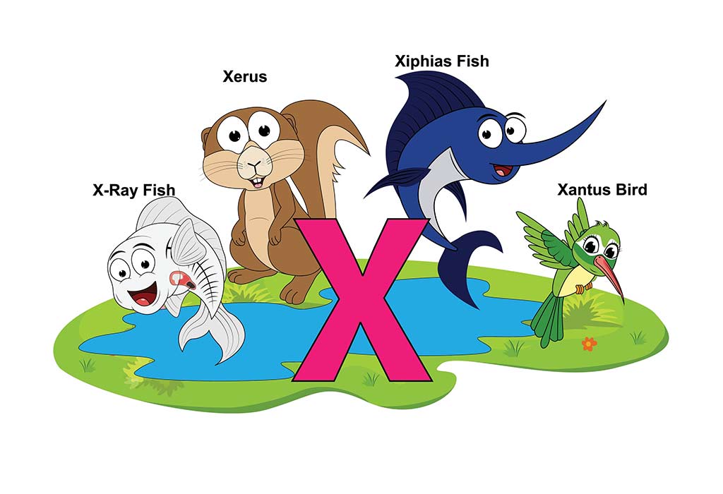 Animal Names Beginning With Letter X Chart