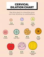 Cervix Dilation During Labour and Childbirth