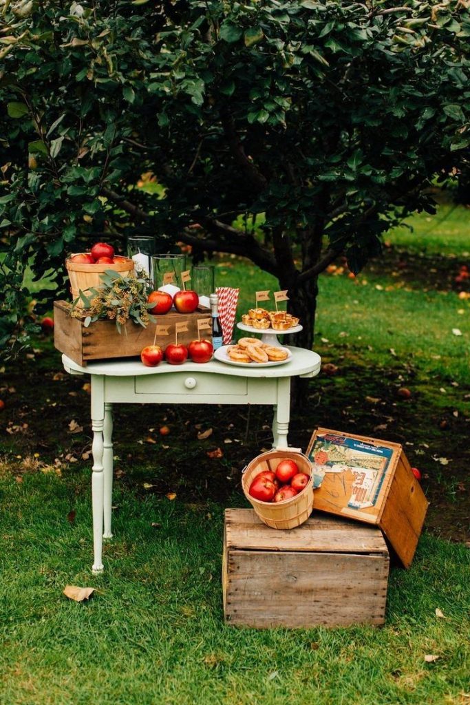 Apple Orchard