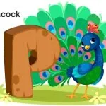 List of Animals that Start with P