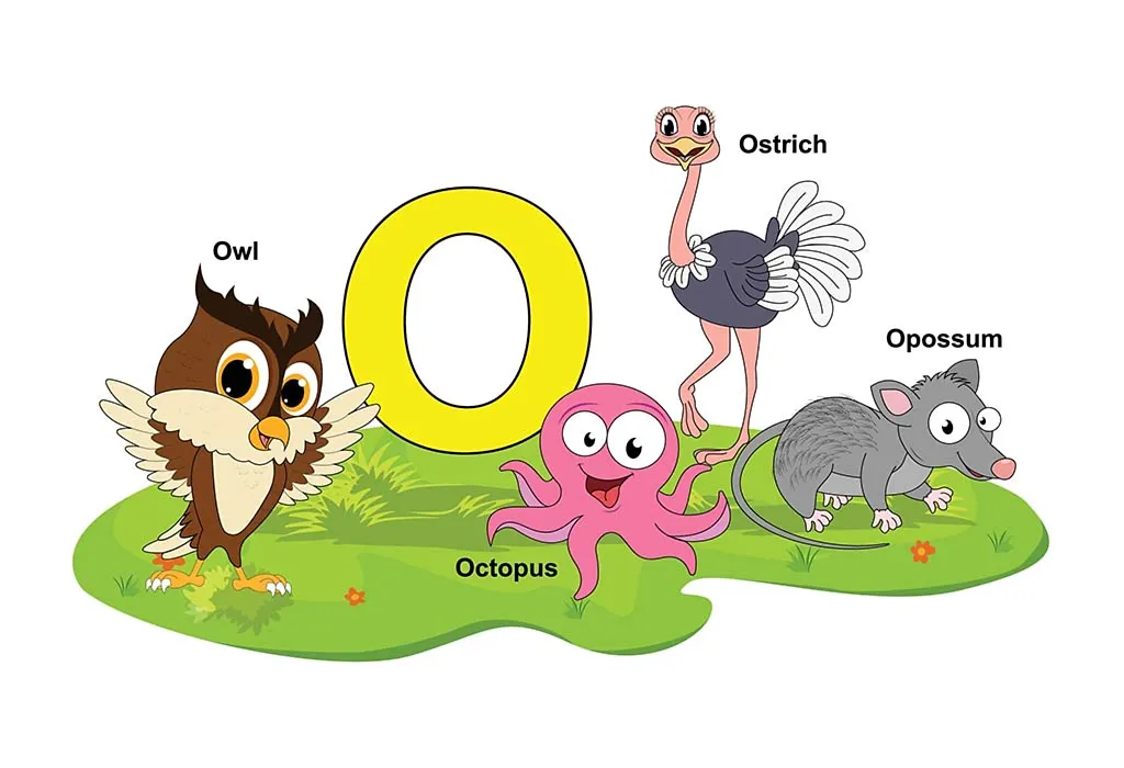 Animal Names Starting With Letter O Chart