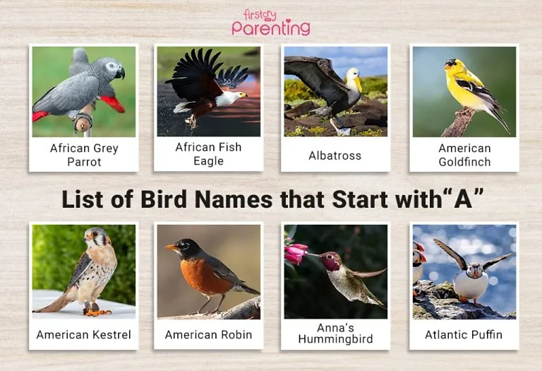List of Birds That Start With A