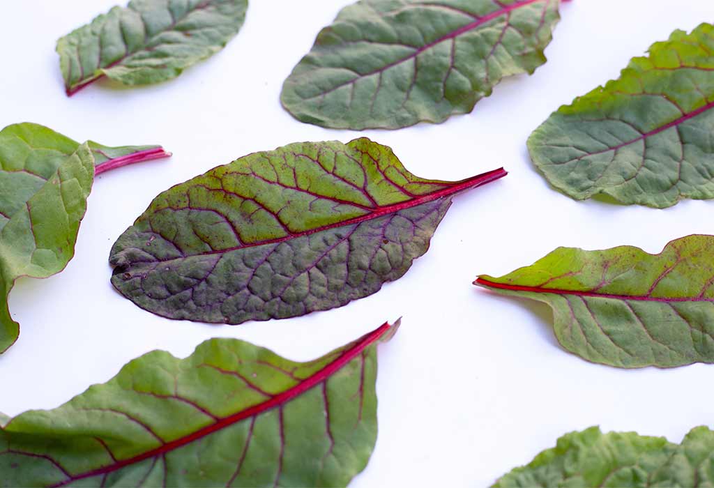 Swiss Chard