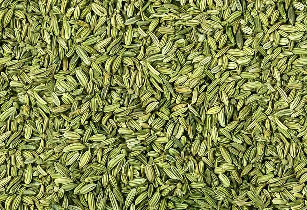 Fennel