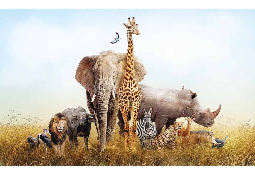 Essay On Wild Animals – 10 Lines, Short and Long Essay for Children and Students