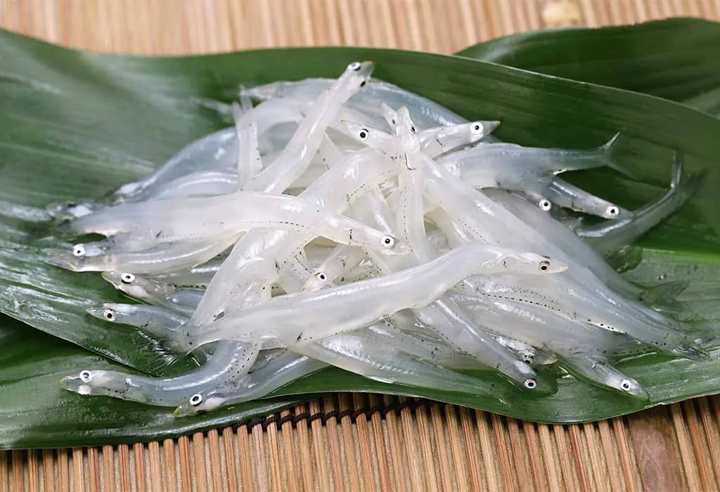Noodlefish