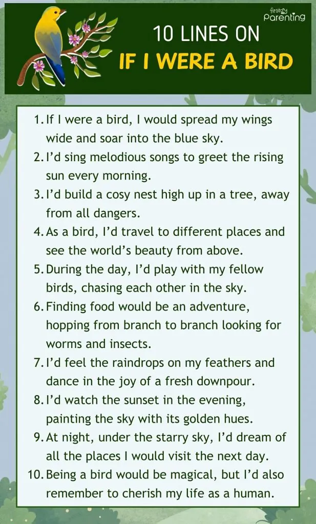 10 Lines on If I Were a Bird - Infographics