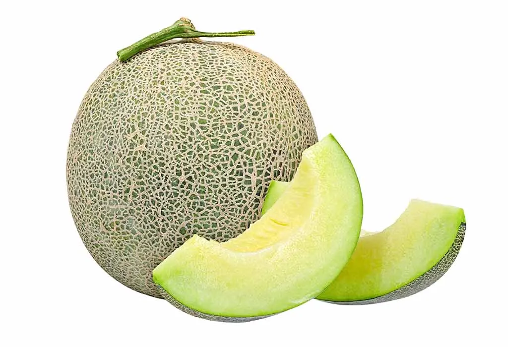 Honeydew Melon
