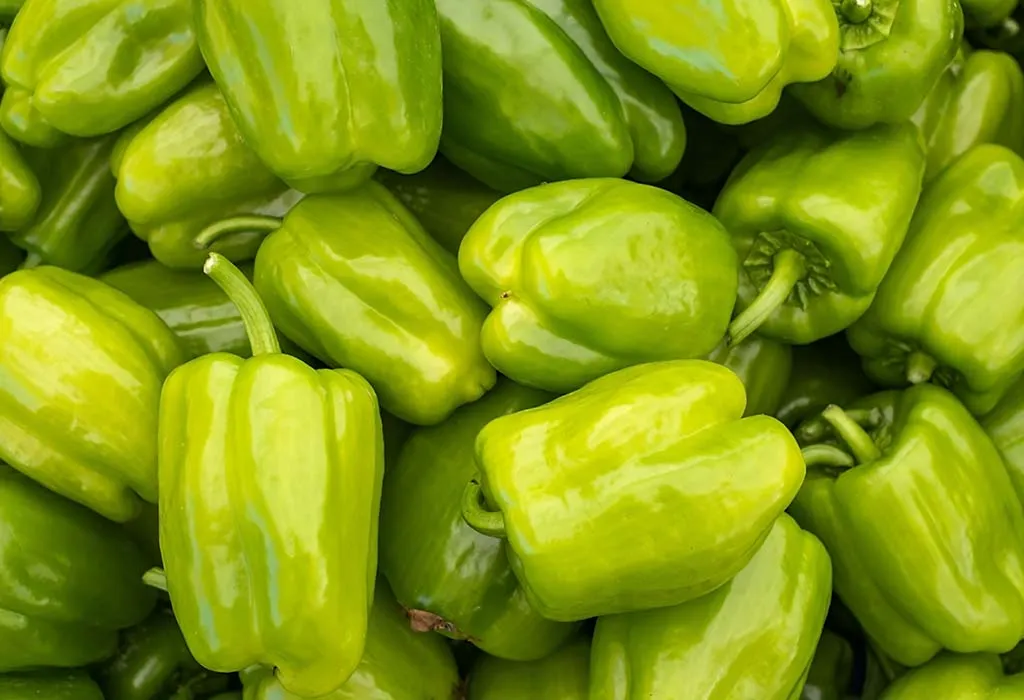 Green Pepper