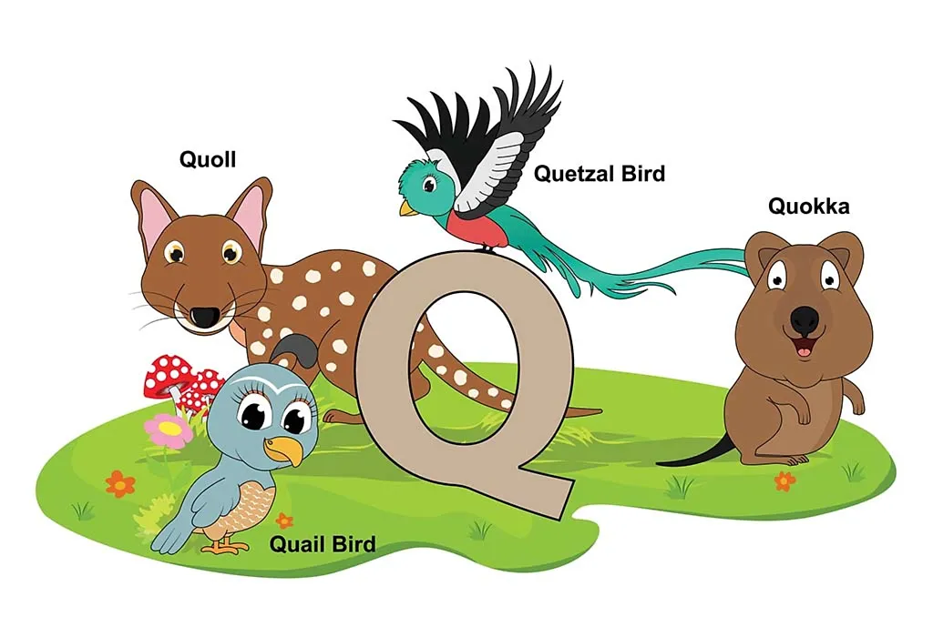 List Of Animals That Start With Q Pictures Facts 