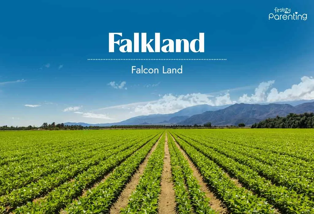 Falkland - Medieval Last Names Or Surnames