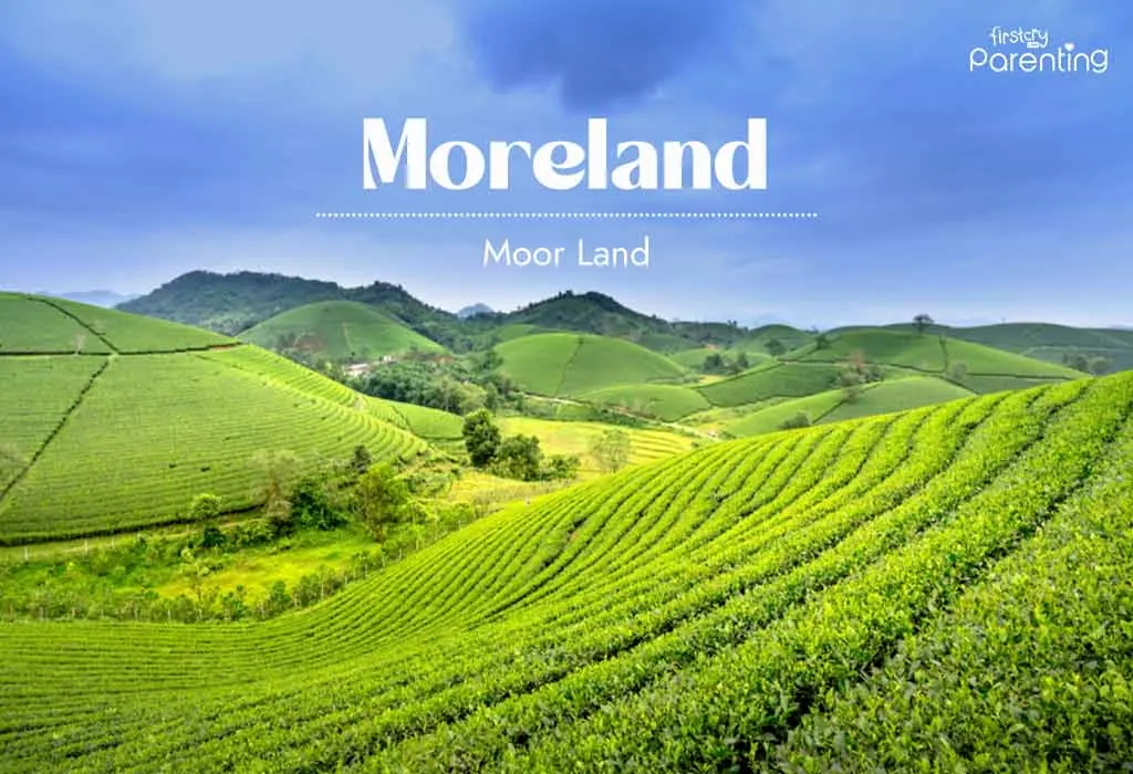 Moreland - Medieval Last Names Or Surnames