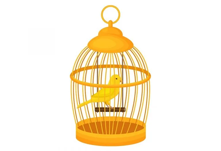 The Golden Bird - A Fairy Tale for Kids