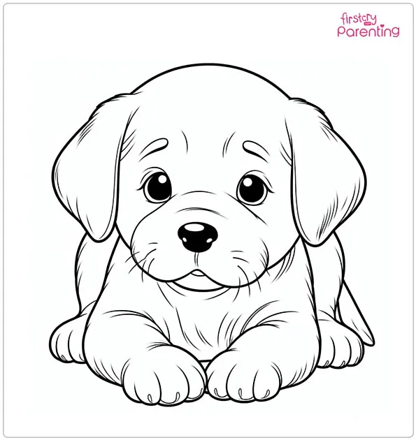 Labrador Puppy Coloring Page