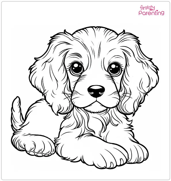 Spaniel Puppy Coloring Page