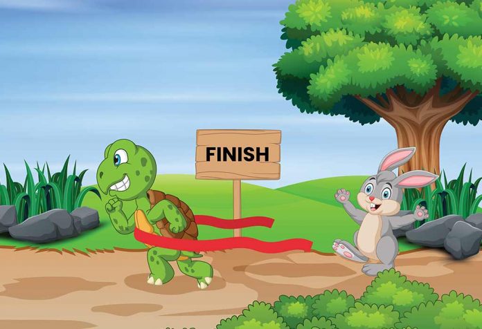 The Story Of Rabbit And Tortoise In Hindi
