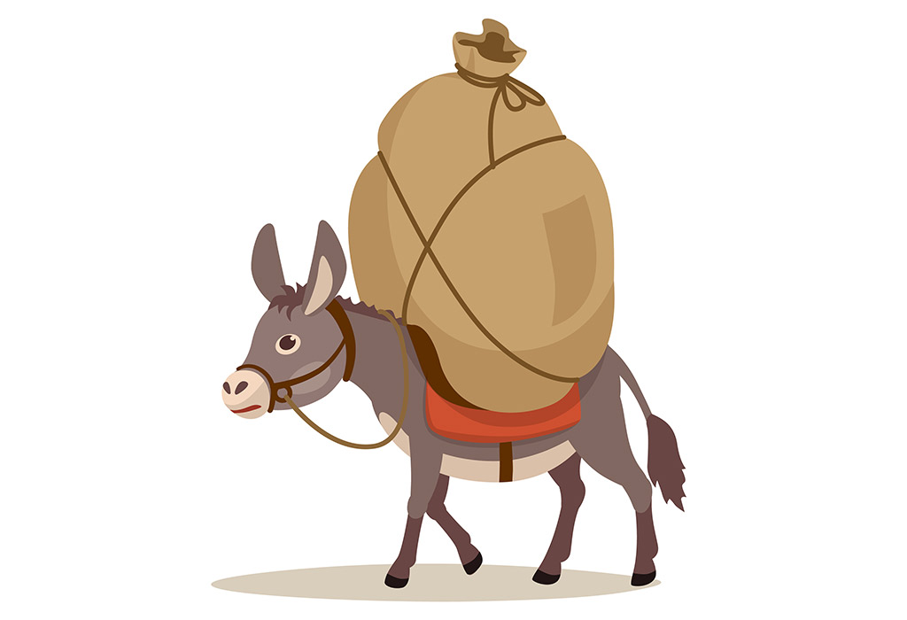 The Washerman’s Donkey Story in Hindi