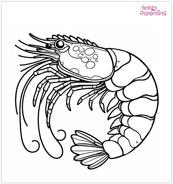 25 Ocean Coloring Pages Free Printable Sheets And Images For Kids 25 Ocean Coloring Pages Free Printable Sheets And Images For Kids
