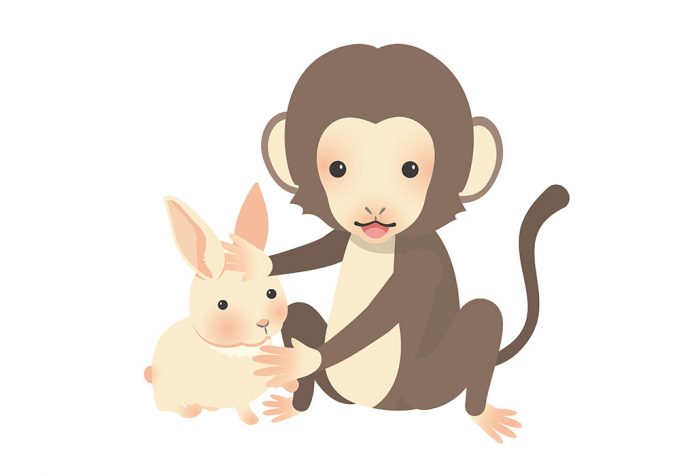 बंदर और खरगोश की कहानी