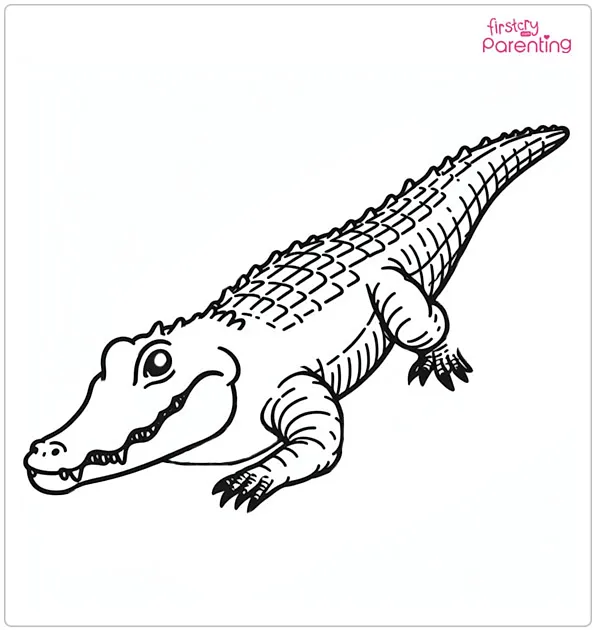 Alligator Motion Coloring Page
