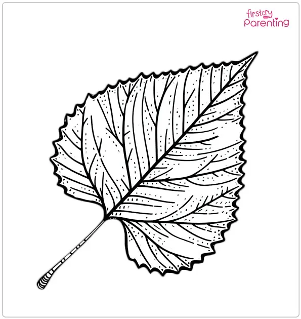 Birch Leaves Coloring Page