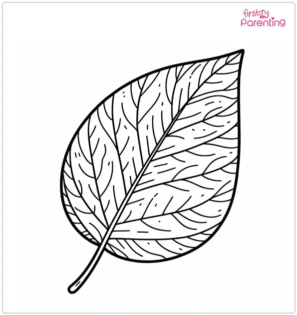 Large Leaf Coloring Page