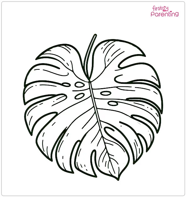 Monstera Leaf Coloring Page