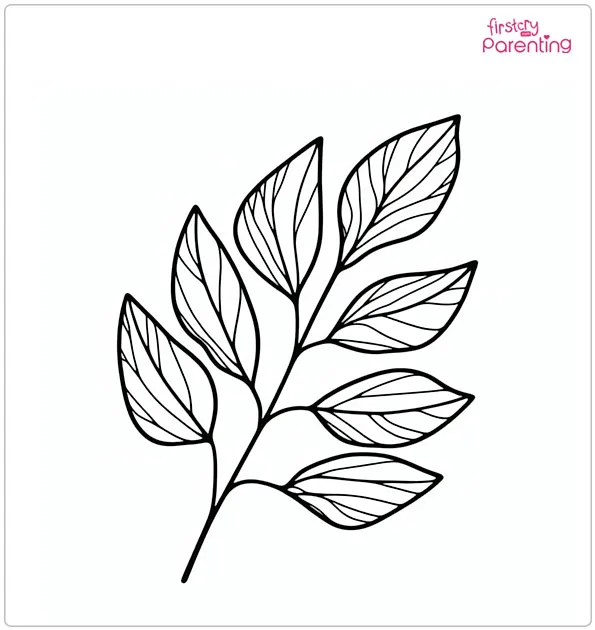 Eucalyptus Leaf Coloring Page