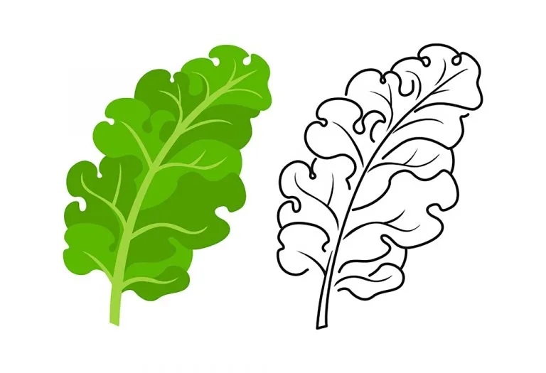 Leaf Coloring Pages - Free Printable Pages For Kids