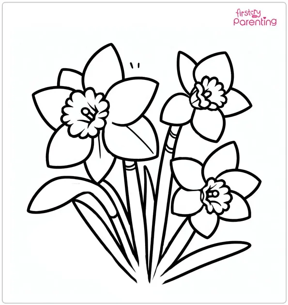 Daffodil Flower Coloring Page